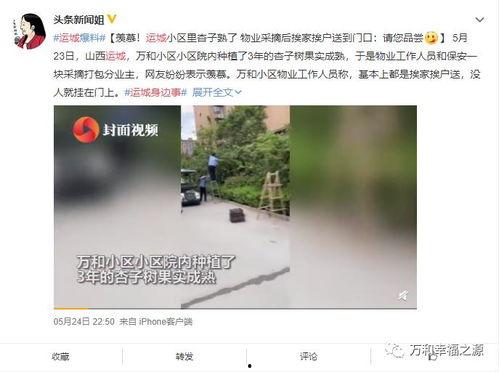 海角社区爆料新闻最新,揭秘神秘事件背后的惊人真相  第2张